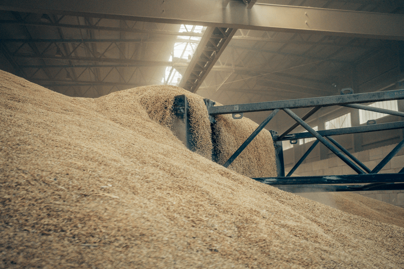 Optimale Getreidelagerung bei Viela Export GmbH